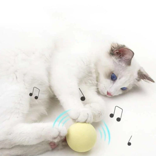 Smart Touch Gravity Ball – Interactive Squeaky Toy for Indoor Cats & Pet Training