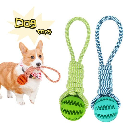 Interactive Dog Treat Ball – Bite-Resistant Chew Toy with Rope for Small & Medium Dogs