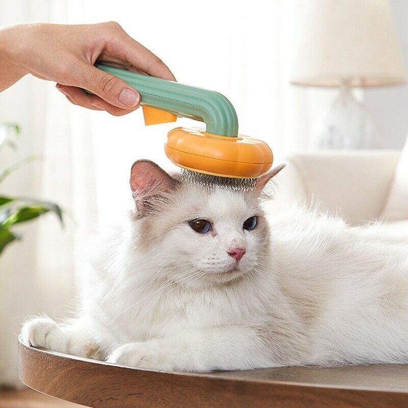 Pumpkin Self-Cleaning Slicker Brush – Gentle Grooming Tool for Cats, Dogs & Rabbits