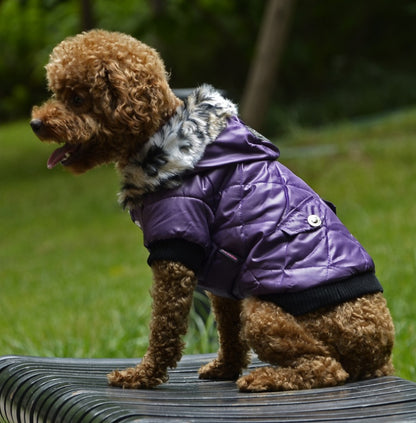 Winter Dog Coat with Fur Collar – Warm & Stylish Pet Clothing for Cold Weather