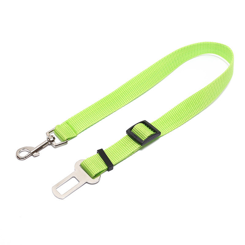 Durable Polyester Dog Leash – Strong & Secure Pet Walking Strap