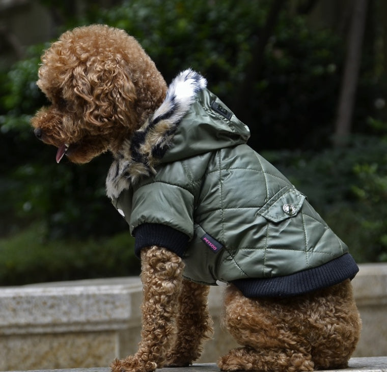 Winter Dog Coat with Fur Collar – Warm & Stylish Pet Clothing for Cold Weather