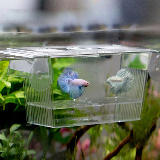 Acrylic Fish Tank Incubation Box – Transparent Breeding Hatchery for Aquariums