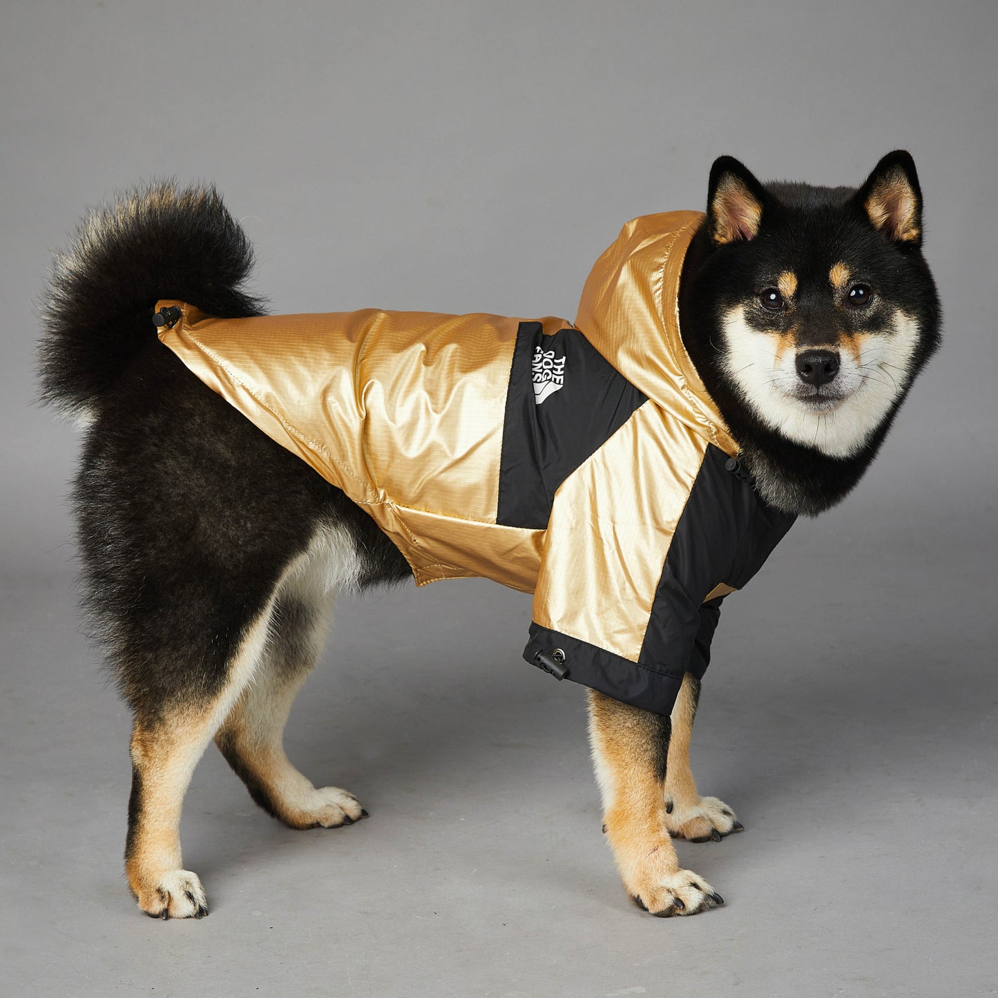 Large Dog Raincoat – Waterproof & Protective Pet Jacket for Rainy Days