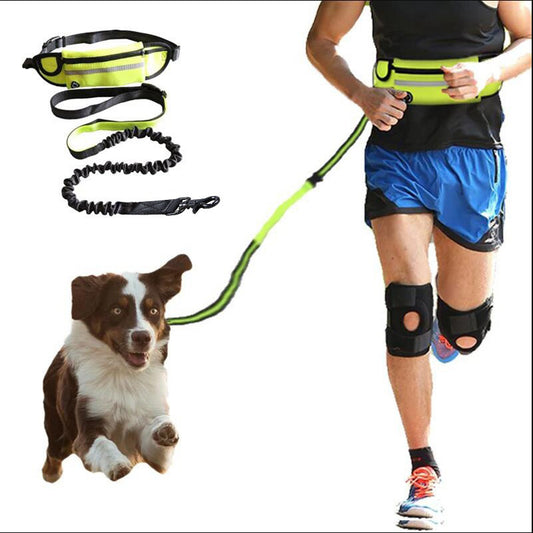 Hands-Free Dog Leash with Bungee – Adjustable Waist Belt, Phone Pocket & Water Bottle Holder for Large Dogs (Up to 180lbs)