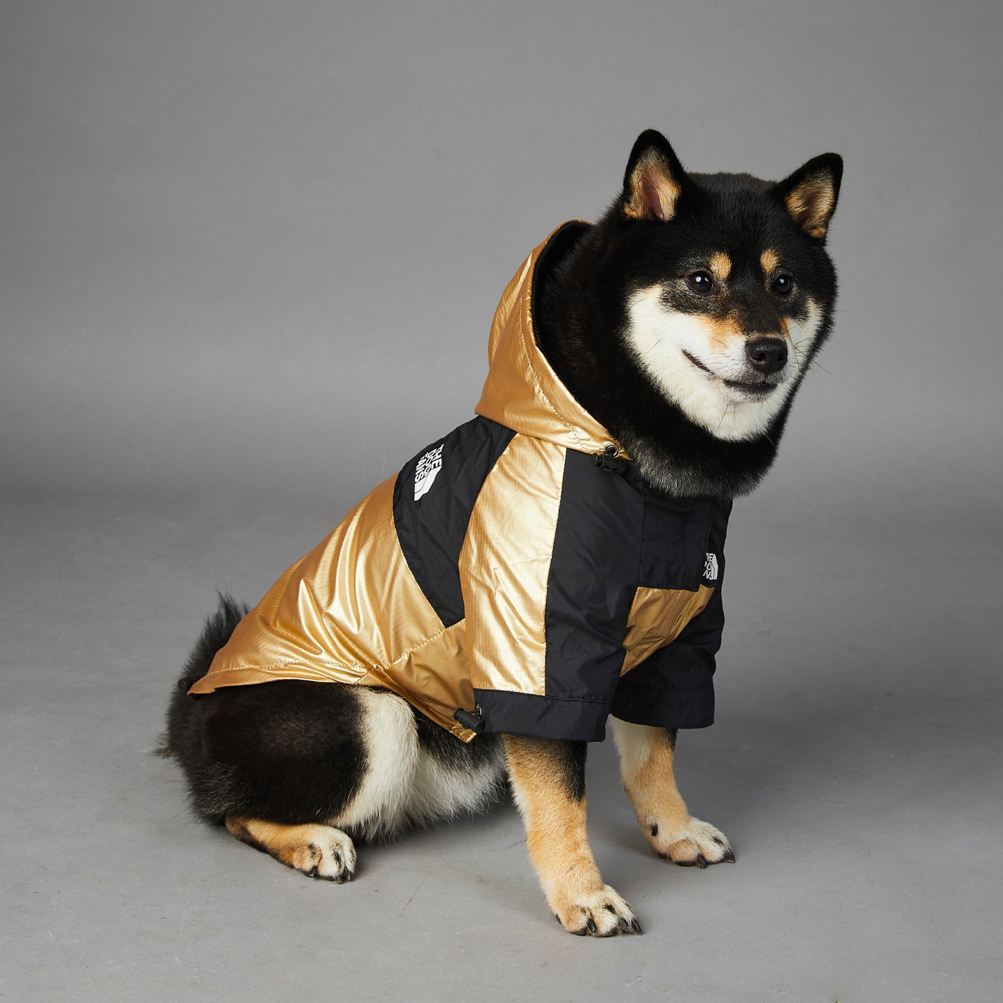 Large Dog Raincoat – Waterproof & Protective Pet Jacket for Rainy Days