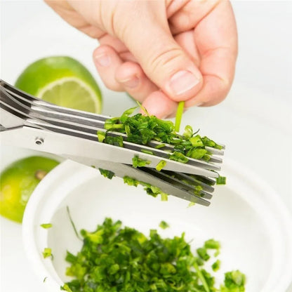 Multifunctional Stainless Steel Herb & Green Onion Scissors – Multi Layer Kitchen Cutter for Spices & Seaweed