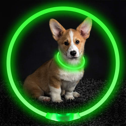 USB Rechargeable LED Dog Collar – Light-Up Neon Safety Necklace for Night Walks