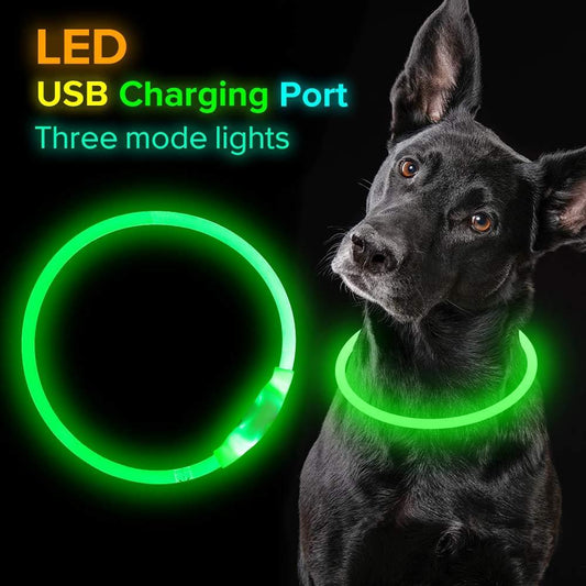 USB Rechargeable LED Dog Collar – Light-Up Neon Safety Necklace for Night Walks