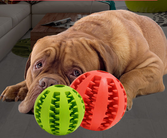 Durable Dog Chew Toy – Bite-Resistant Molar Stick & Puppy Play Ball