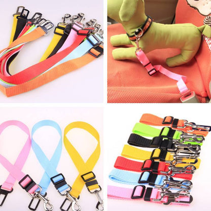 Durable Polyester Dog Leash – Strong & Secure Pet Walking Strap