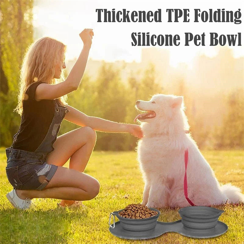 Foldable Double Pet Bowl – Portable Rubber Feeding Dish for Dogs & Cats