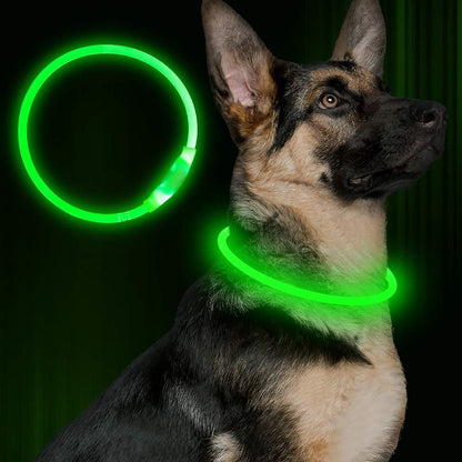 USB Rechargeable LED Dog Collar – Light-Up Neon Safety Necklace for Night Walks